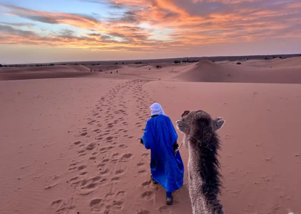沙漠老人 教我在風中...